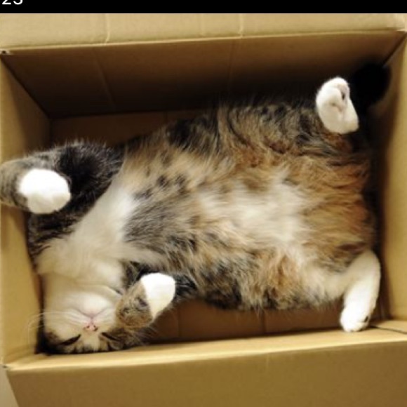 🌿I Pack With Care & Bubble Wrap🌿 - Picture 8 of 16